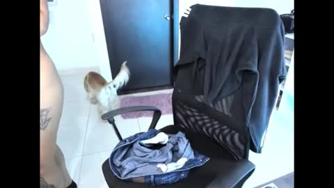 cristinasweet7 online show from 11-30-25, 03:32