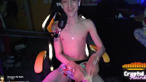 CryptidTwink online show from 12-04-24, 06:22