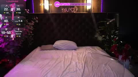 crystallpaws_ online show from 02-25-26, 06:56