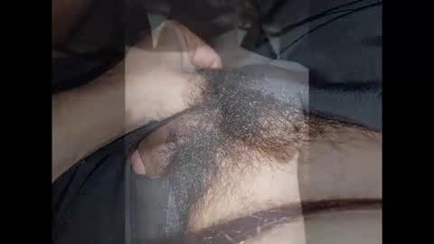 Noha online show from 01-13-26, 04:07