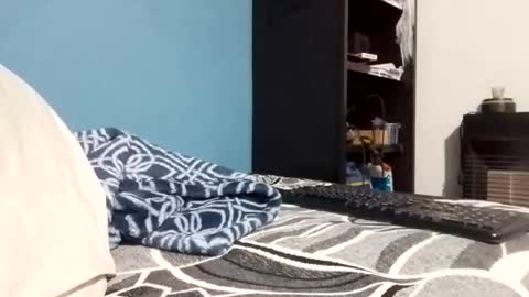 cumbian_chero online show from 02-23-26, 11:07