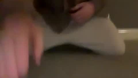 Cumfar online show from 03-31-26, 10:54