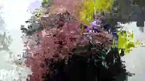 Snapshot of cummwitme211 chatting on 02-25-25, 06:42 cummwitme211 online show from 02-25-25, 06:42