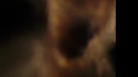 Giselle online show from 10-25-25, 07:41