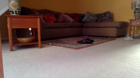 cumonherguys online show from 11-17-25, 09:37