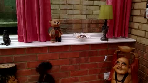 cumonherguys online show from 06-04-26, 01:50