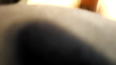 cumonmyface427 online show from 12-22-25, 06:38