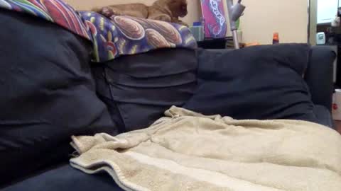 cumonover420 online show from 04-24-26, 01:41