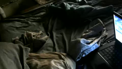 cumwith_me80 online show from 05-08-26, 07:46