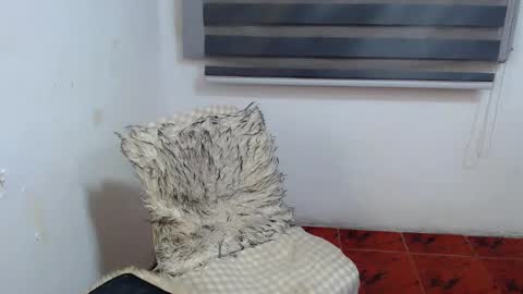 Xyrien online show from 01-10-26, 02:13