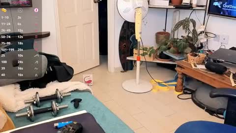 curiousgenie online show from 04-20-26, 11:02