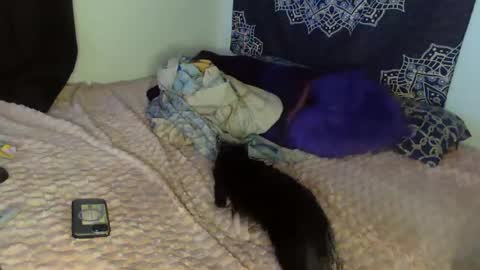 Snapshot of curvybcelinemixe chatting on 02-08-25, 04:47 Cline online show from 02-08-25, 04:47