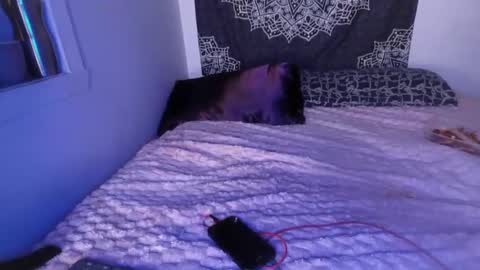 Snapshot of curvybcelinemixe chatting on 03-02-25, 07:21 Cline online show from 03-02-25, 07:21