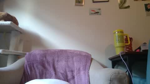 Snapshot of curvycate127 chatting on 01-21-25, 09:25 Cate online show from 01-21-25, 09:25