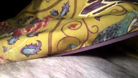 Snapshot of cutcockguy1975 chatting on 02-10-25, 11:34 Steve online show from 02-10-25, 11:34