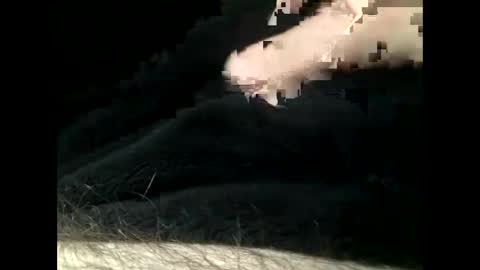 Snapshot of cutcockguy1975 chatting on 02-11-25, 05:50 Steve online show from 02-11-25, 05:50