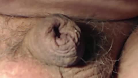 cute_stud1010 online show from 02-22-26, 03:10