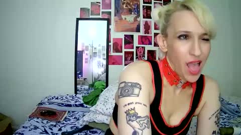 Bella online show from 03-15-26, 12:38