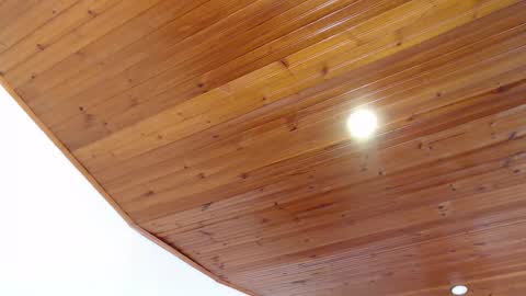 LIZETH online show from 03-08-25, 02:30