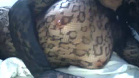 cyndy3393 online show from 04-21-26, 08:20