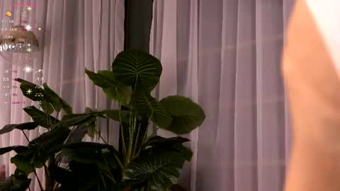 Ivy online show from 07-03-26, 03:35