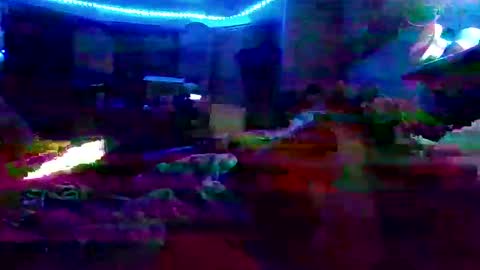 dabangaz4life online show from 12-07-24, 08:44