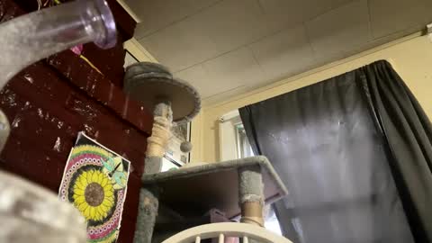 dabqueen_1994 online show from 04-09-26, 11:59