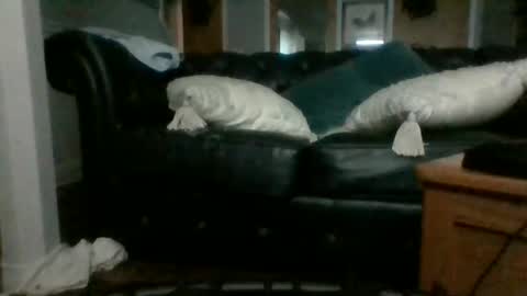 cumslutangel online show from 09-17-25, 03:08