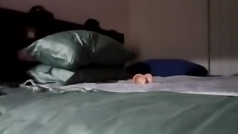 Kasey Xdresser online show from 02-06-26, 04:54