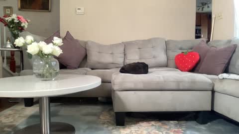 Belle  Email daddydaycarecb  online show from 02-22-26, 05:55