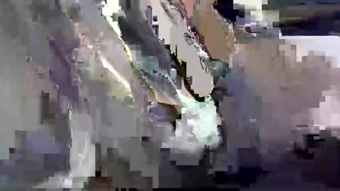 GIANT  Lamar  72 ft  tall  with a  10 inches  BBC   hard quick cumshot in private show lets go online show from 03-26-26, 12:00