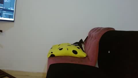 Daiisha.. online show from 04-18-26, 08:07