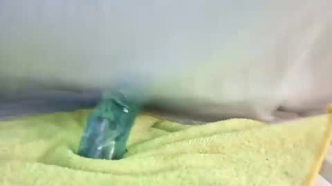 daileyrobert15 online show from 05-02-26, 07:41