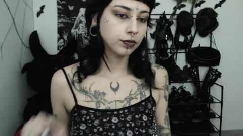 Snapshot of dakota_krall_ chatting on 05-15-26, 02:40 dakota online show from 05-15-26, 02:40
