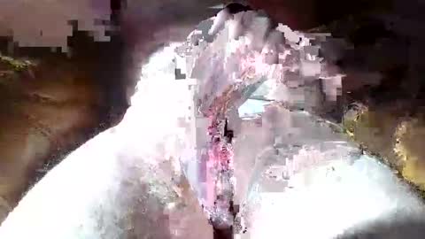 dalamud48 online show from 03-27-26, 09:21