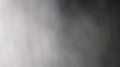 Dalia April online show from 01-11-26, 07:41