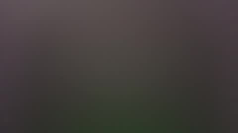 dallasjmg online show from 02-25-26, 10:19