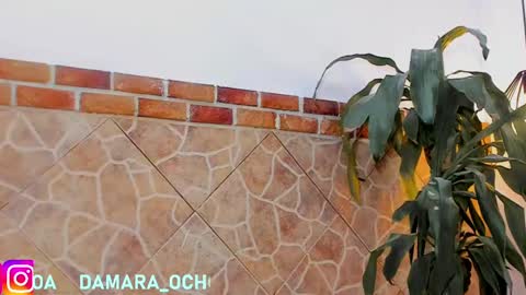         online show from 02-22-25, 07:45