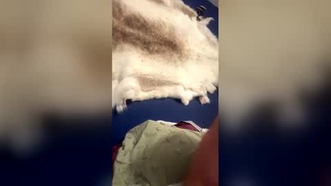 Snapshot of damontsi chatting on 03-22-26, 09:34 damontsi online show from 03-22-26, 09:34