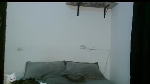 Dan and Noah online show from 03-05-25, 12:27