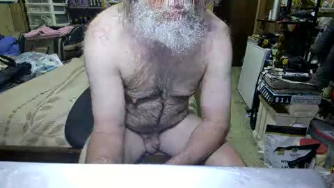 Dana online show from 04-19-26, 02:49