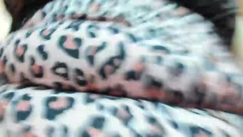 danajhonson online show from 04-16-26, 02:07