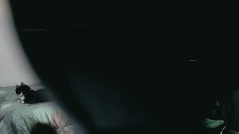 dani y jocelyn online show from 03-02-25, 11:53