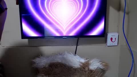 Snapshot of danica_wild chatting on 05-15-26, 11:12 Danica online show from 05-15-26, 11:12