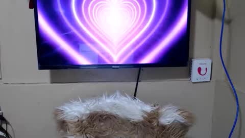 Snapshot of danica_wild chatting on 05-15-26, 11:23 Danica online show from 05-15-26, 11:23