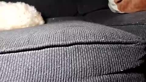 daniel_k69 online show from 02-19-25, 02:23