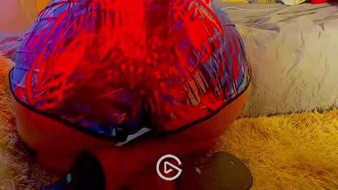 Snapshot of dankshepp chatting on 01-26-25, 08:45 dandeb online show from 01-26-25, 08:45