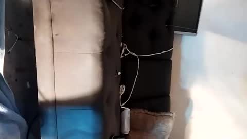 Snapshot of dankshepp chatting on 09-15-25, 06:19 dandeb online show from 09-15-25, 06:19