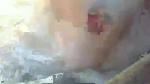 Snapshot of dankz4two0 chatting on 01-11-25, 03:09 dankz4two0 online show from 01-11-25, 03:09