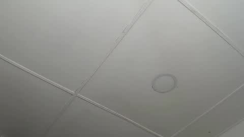 dannaberlin_0 online show from 02-12-25, 12:22